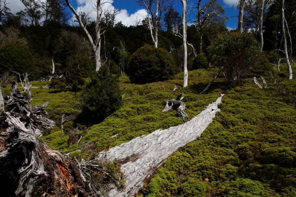 08 - Frecinet NP (17).jpg